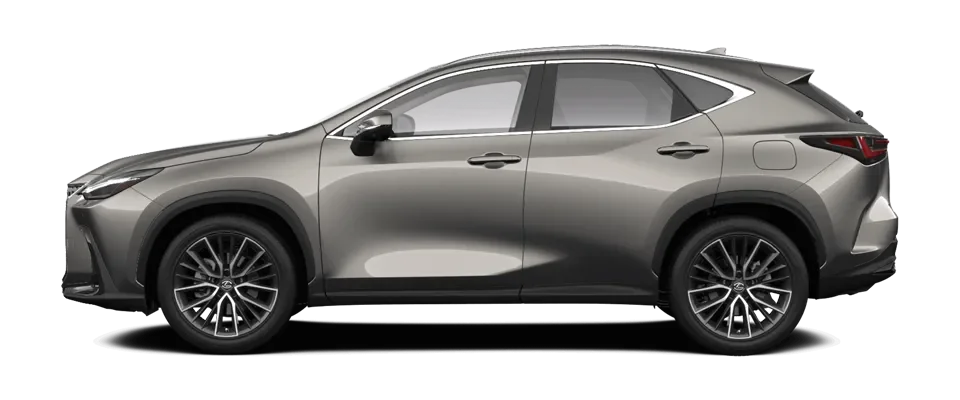 NX